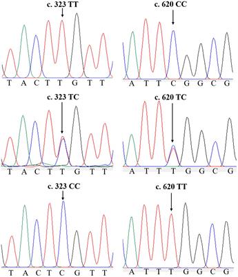 Vital Role of Glutamate Dehydrogenase Gene in Ammonia Detoxification and the Association Between its SNPs and Ammonia Tolerance in Sinonovacula constricta